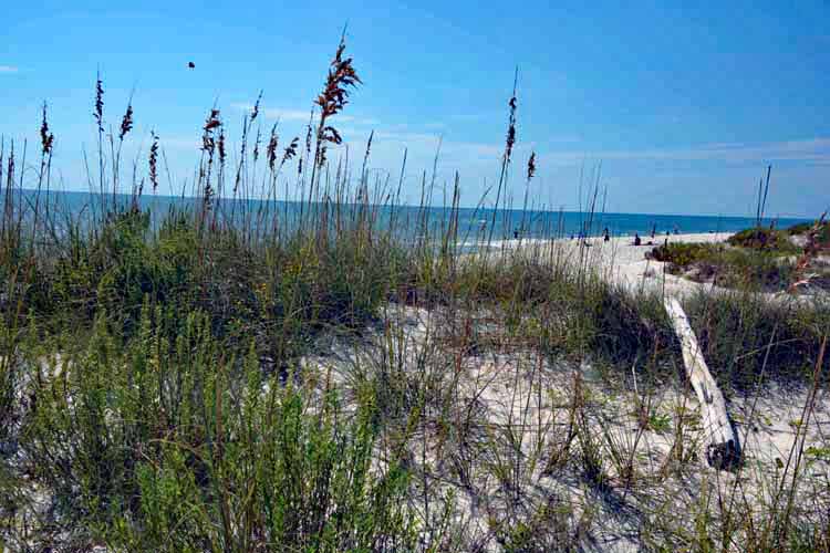 white sand dunes